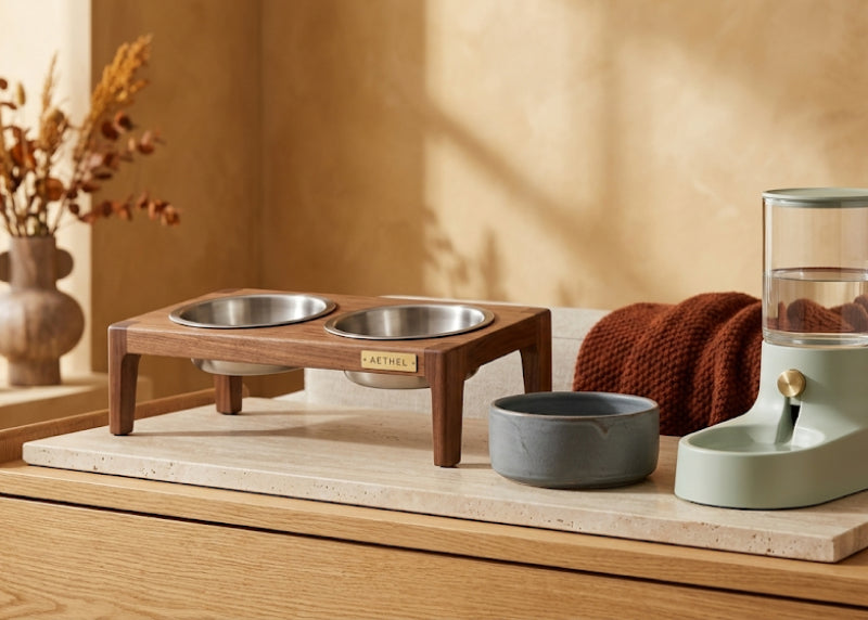 Dining & Bowl